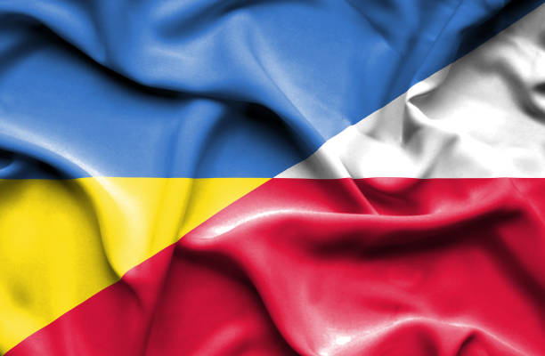 폴란드와 우크라이나의 국기를 흔들며 - poland stock illustrations
