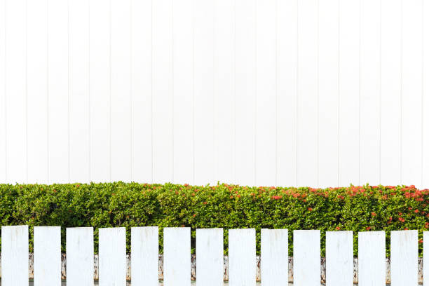 recinzione del picchetto bianco e parete di foglie verdi su sfondo muro di legno bianco, percorso di ritaglio. - picket fence grass gardens nature foto e immagini stock