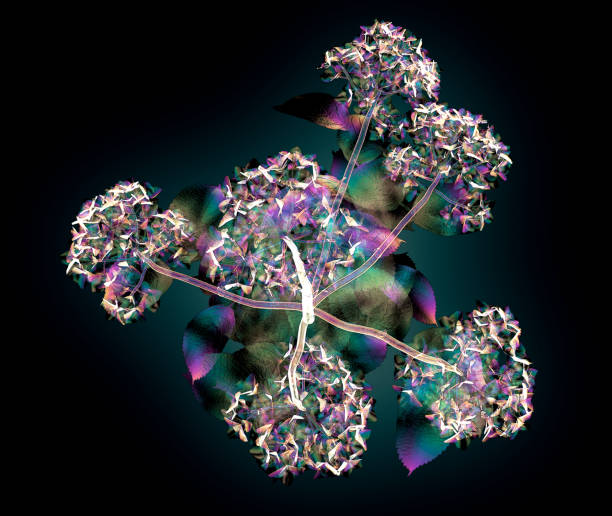 istock color glass flower isolated , the hortentia 670338640