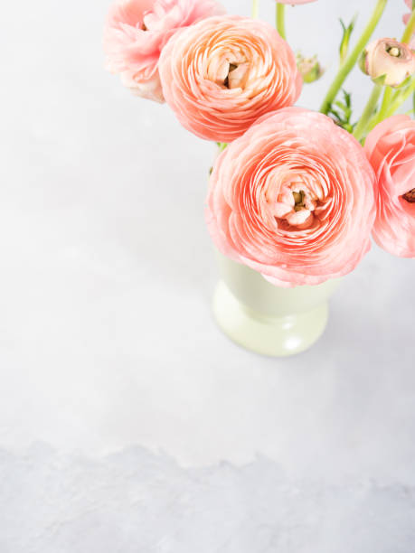 istock Beautiful pink ranunculus bouquet 670349532