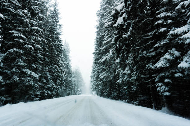 istock Winter on Zakopane 670350396
