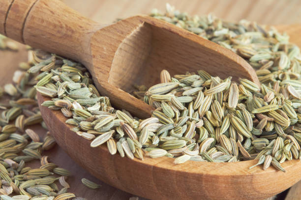 istock Dried fennel seeds 670356988