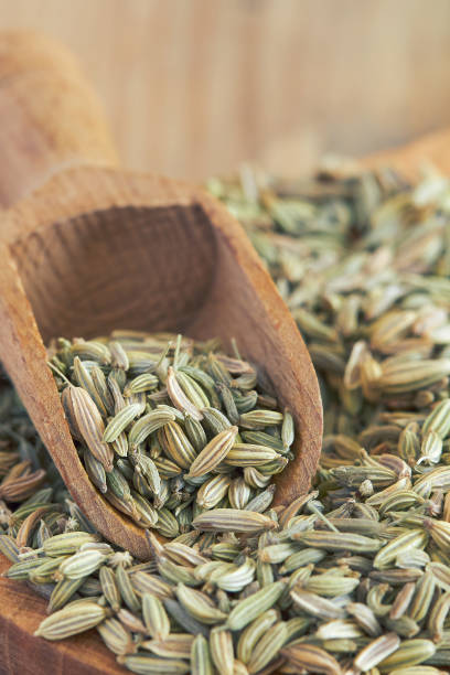 istock Dried fennel seeds 670357052