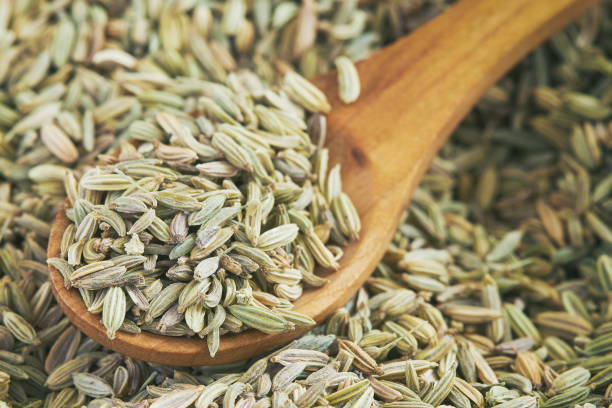 istock Dried fennel seeds 670357056