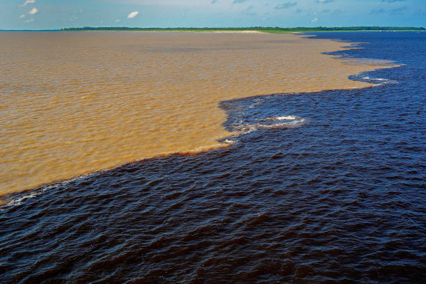 Brazil Manaus rio negro brazil stock pictures, royalty-free photos & images