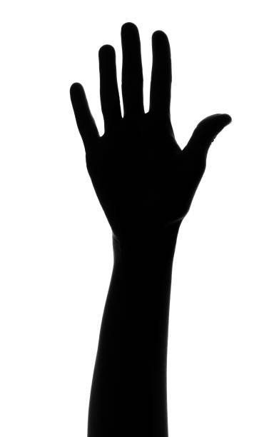 istock silhouette of palm showing number 670371038