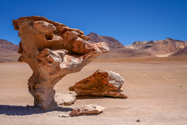 piedra arbol rock - bizarre landscape sand blowing photos et images de collection