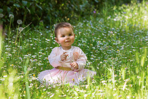 Little girl sitting on the grass, picks up dandelion
