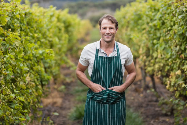 viticultor feliz con las manos en los bolsillos - winemaking vintner winery people fotografías e imágenes de stock