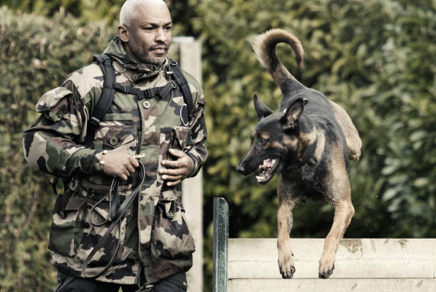 istock Handsome black middle aged man exercising with work dog at dog school 670386504