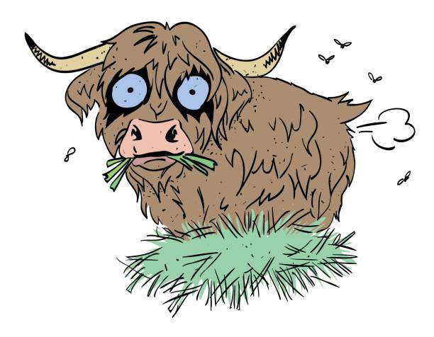 ilustraciones, imágenes clip art, dibujos animados e iconos de stock de caricatura de pedos de vaca peluda - peer to peer illustrations
