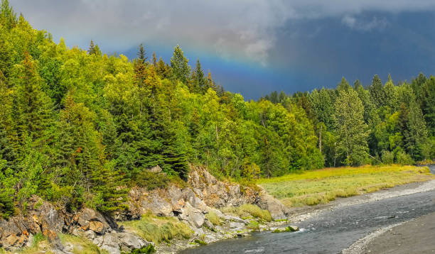 istock Fishing stream with rainbow and forest in Alaska 670387342