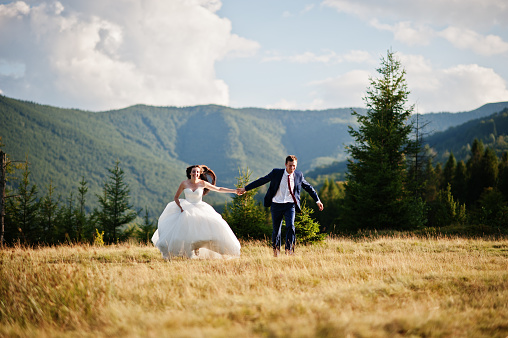 Lovely wedding couple at amazing landscapes of Carpathian mountains.
