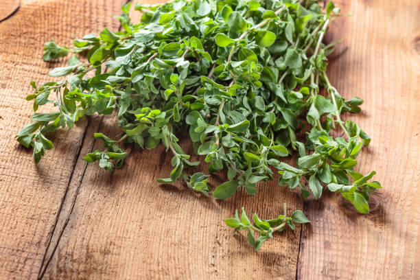 istock Spicy herb marjoram on a wooden table 670394580