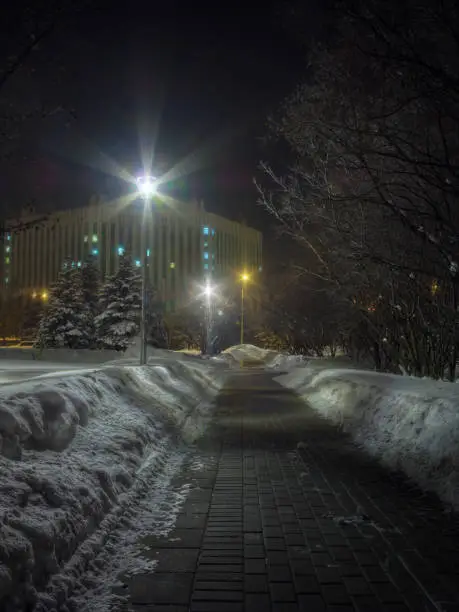 Photo of Winter night in Moscow, Russia: brick road surrounded by snowdrifts and trees