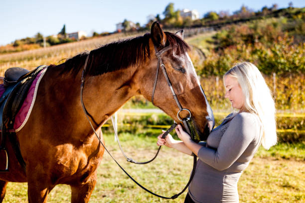 istock Confidence Between Horse And Woman 670411732