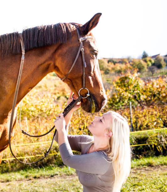 istock Confidence Between Horse And Woman 670411736