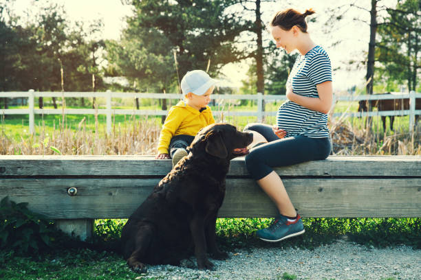 pregnant mother and her son are walking and spending time together on the nature park, outdoors. - abdomen gynecological examination women loving imagens e fotografias de stock