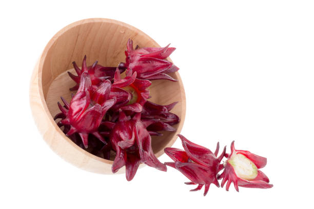 istock Roselle Hibiscus sabdariffa red fruit flower on white background 670427112