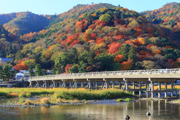 京都 嵐山の秋 - togetsu kyo bridge - fotografias e filmes do acervo