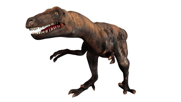 istock Raptor Velociraptor dinosours - isolated on white background 670441118