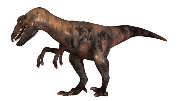 istock Raptor Velociraptor dinosours - isolated on white background 670442322
