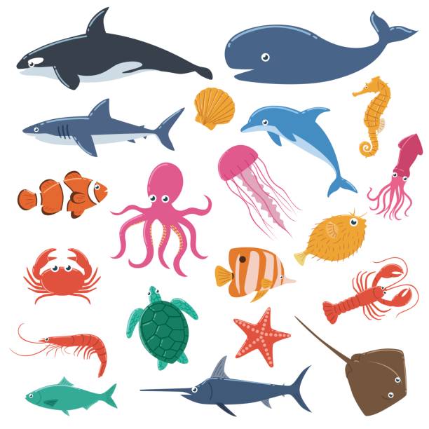 satz von meer tiere - starfish underwater sea fish stock-grafiken, -clipart, -cartoons und -symbole