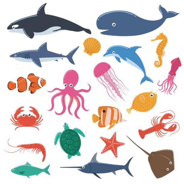 ilustraciones, imágenes clip art, dibujos animados e iconos de stock de conjunto de animales de mar - starfish underwater sea fish
