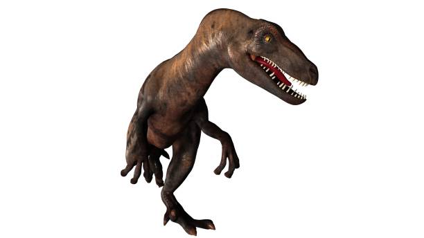 istock Raptor Velociraptor dinosours - isolated on white background 670442850
