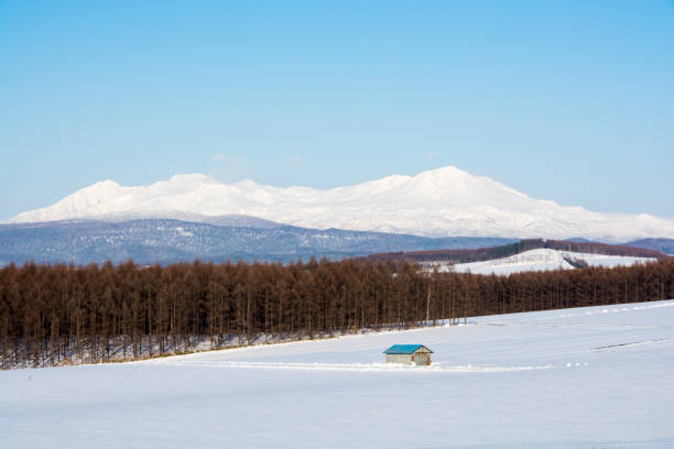 Snow mountain in early spring Snow mountain in early spring in Hokkaido Japan and blue sky 雪 stock pictures, royalty-free photos & images