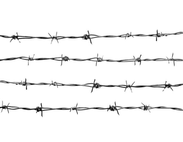 istock 4 lines of new barbed wire. 670443536