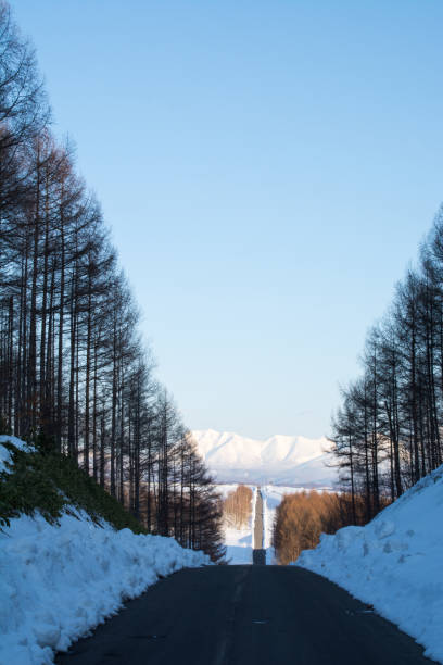 Spring agricultural road and snow mountain Spring agricultural road and snow mountain in Hokkaido Japan 丘 stock pictures, royalty-free photos & images