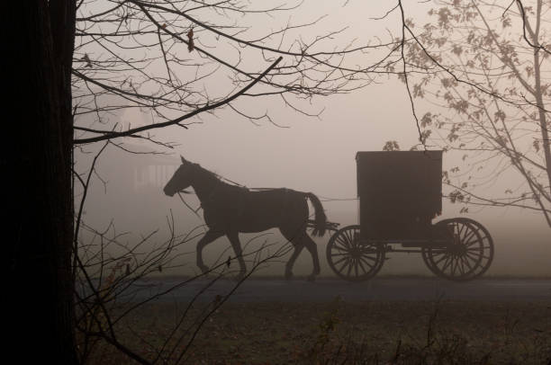 Amish Buggy in the Fog