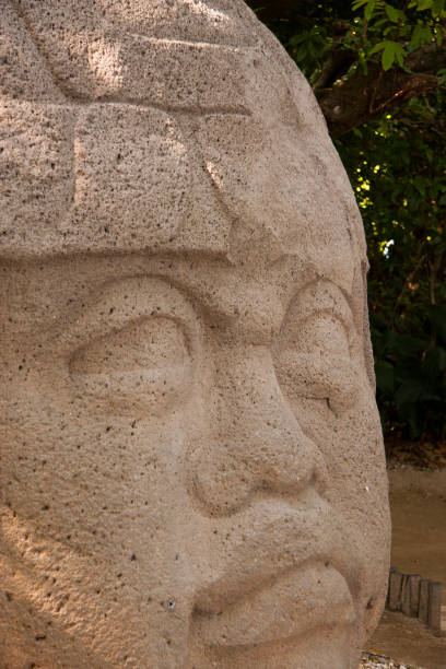 istock OLMEC,LA VENTA,TABASCO,VILLAHERMOSA,MEXICO 670457146