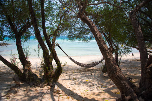 istock Empty hammock hang on trees on the beach at Koh Samed island, Thailand 670457456