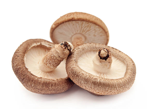 istock Shiitake mushroom on the White background 670459920