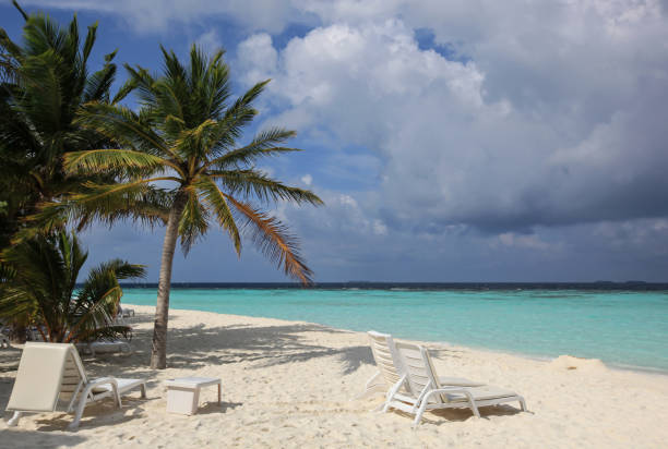 istock Sunbeds and table undetr palm tree on the Maldives beach 670460136