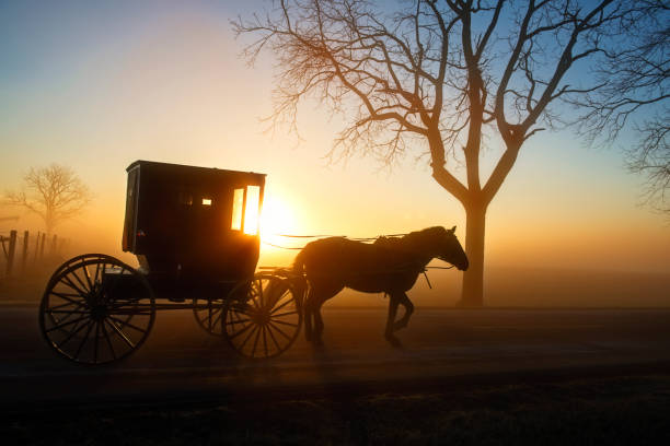 istock Older Horse and His Buggy at Dawn 670460438