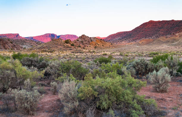 istock Dusk Arches National Park, Utah 670460824