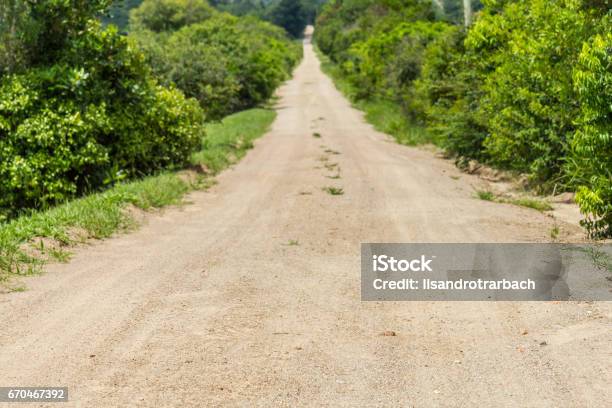 Dirt Road To A Farm Stock Photo - Download Image Now - Dirt Road, Dirty, Footpath