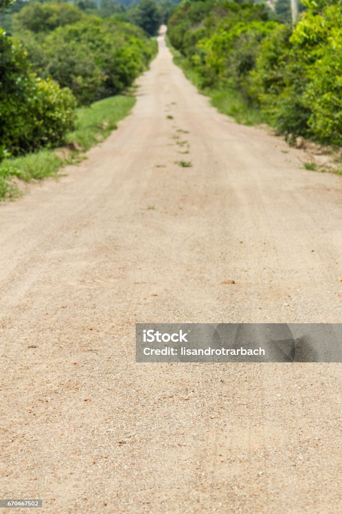 Dirt road to a Farm Dirt road to a Farm in Itapua, Viamao, Rio Grande do Sul Dirt Road Stock Photo