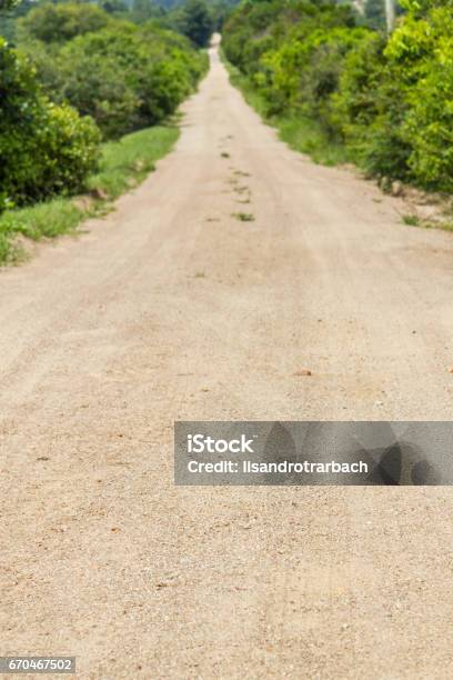 Dirt Road To A Farm Stock Photo - Download Image Now - Dirt Road, Dirty, Footpath