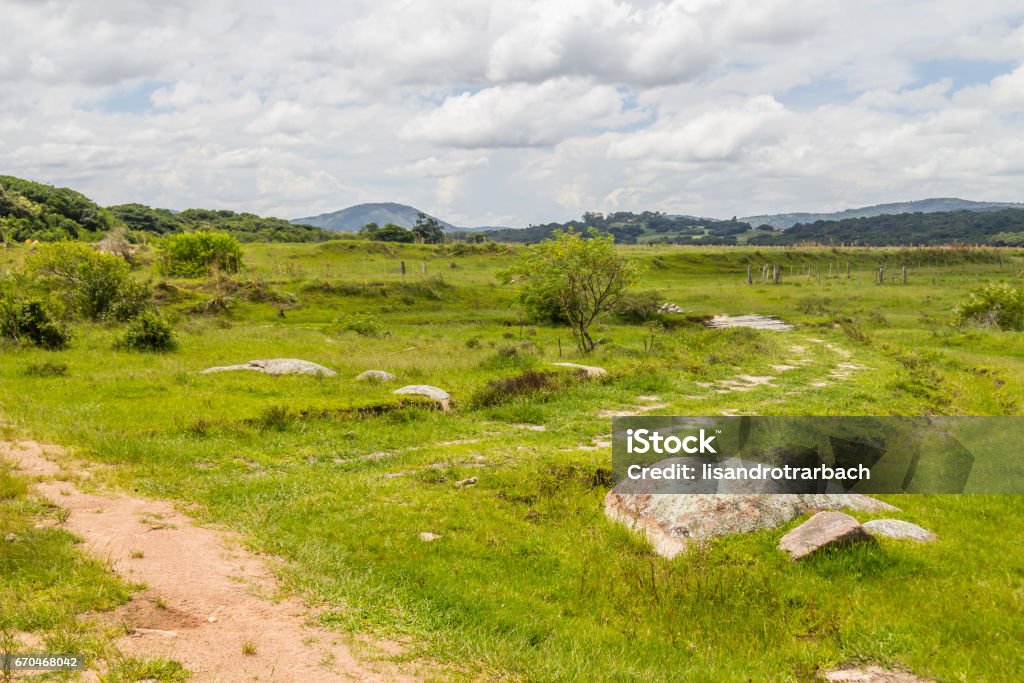 Farm field and hill Farm field and hill in Itapua, Viamao, Rio Grande do Sul Agricultural Field Stock Photo