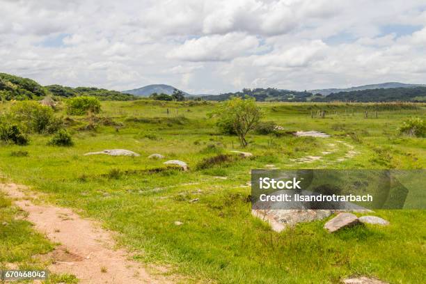 Farm Field And Hill Stock Photo - Download Image Now - Agricultural Field, Animal, Brazil
