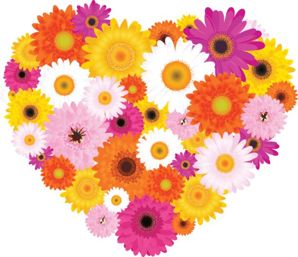 istock Heart Made Of Colorful Daisies 670468298