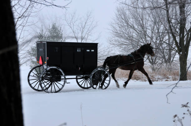 istock Amish Buggy in the Snow 670468418