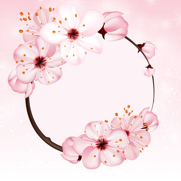 Spring background with pink blossom flowers. Vector 3d illustration. Beautiful vernal floral banner, poster, flyer. Springtime blooming apple tree. close up of branch, petal over rose bokeh backdrop. Spring background with pink blossom flowers. Vector 3d illustration. Beautiful vernal floral banner, poster, flyer. Springtime blooming apple tree. close up of branch, petal over rose bokeh backdrop flower backgrounds cherry blossom spring stock illustrations