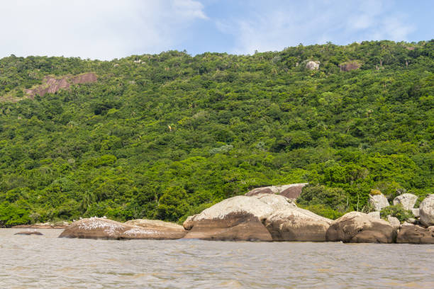 istock Guaiba lake landscape 670468928