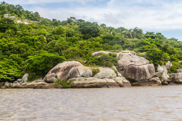 istock Guaiba lake landscape 670470656