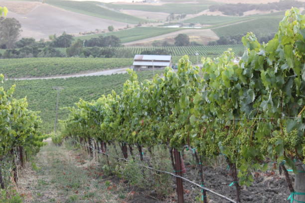 istock Napa Valley, California 670470662